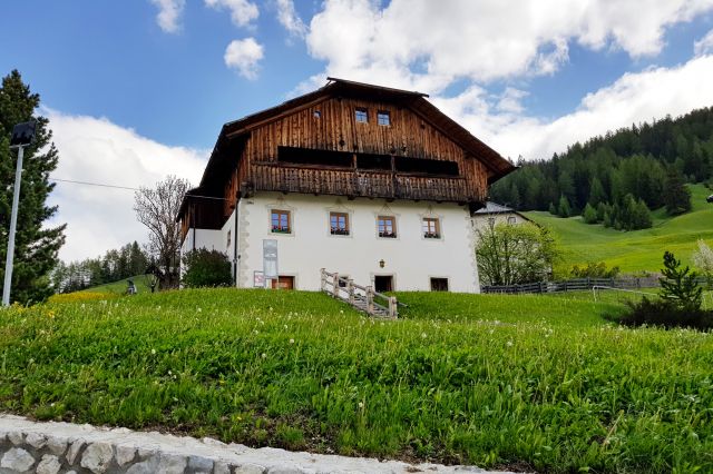 Immagine: Oies e dintorni